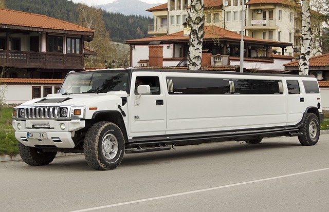 Party bus rentals Toronto